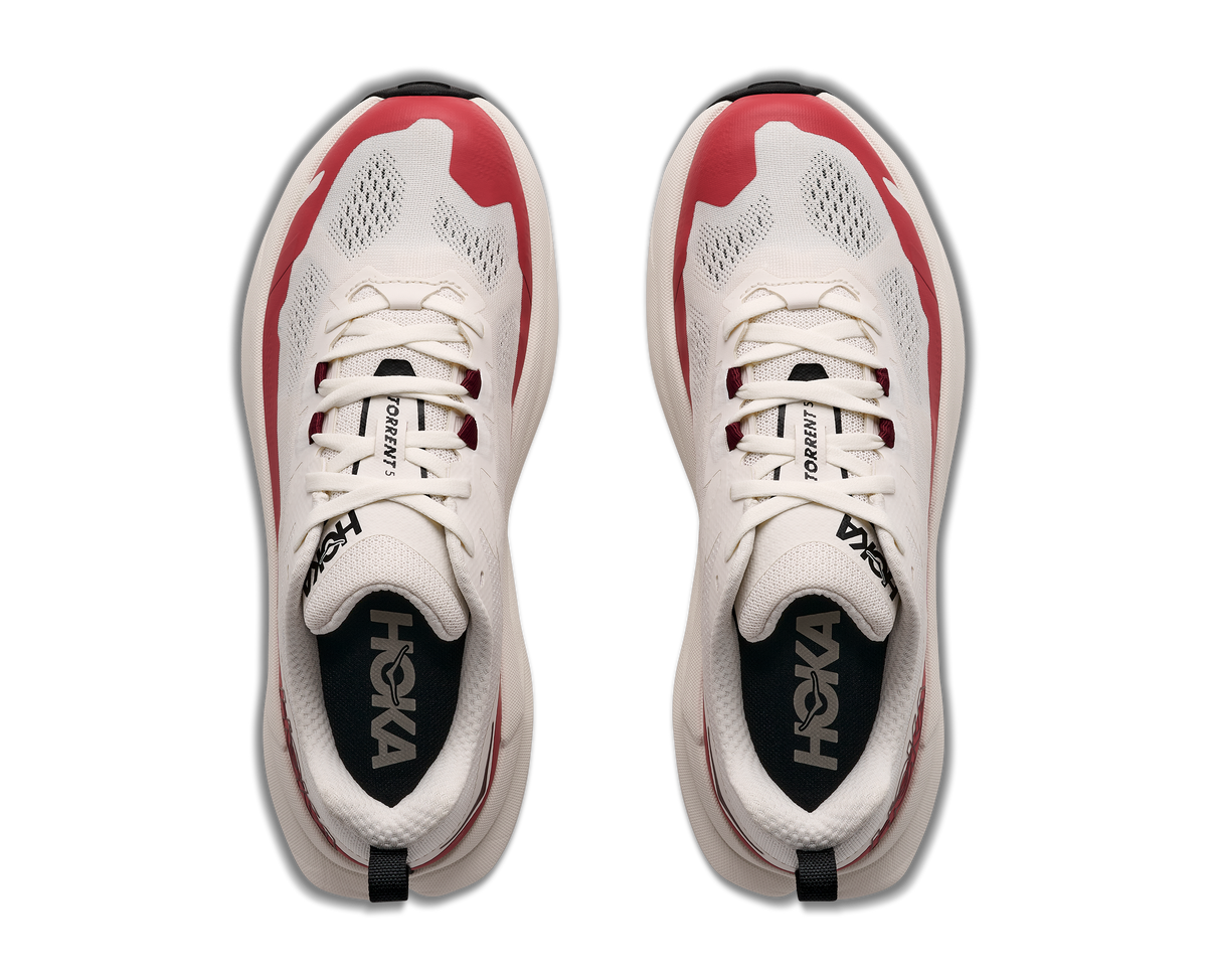 Torrent 5 W