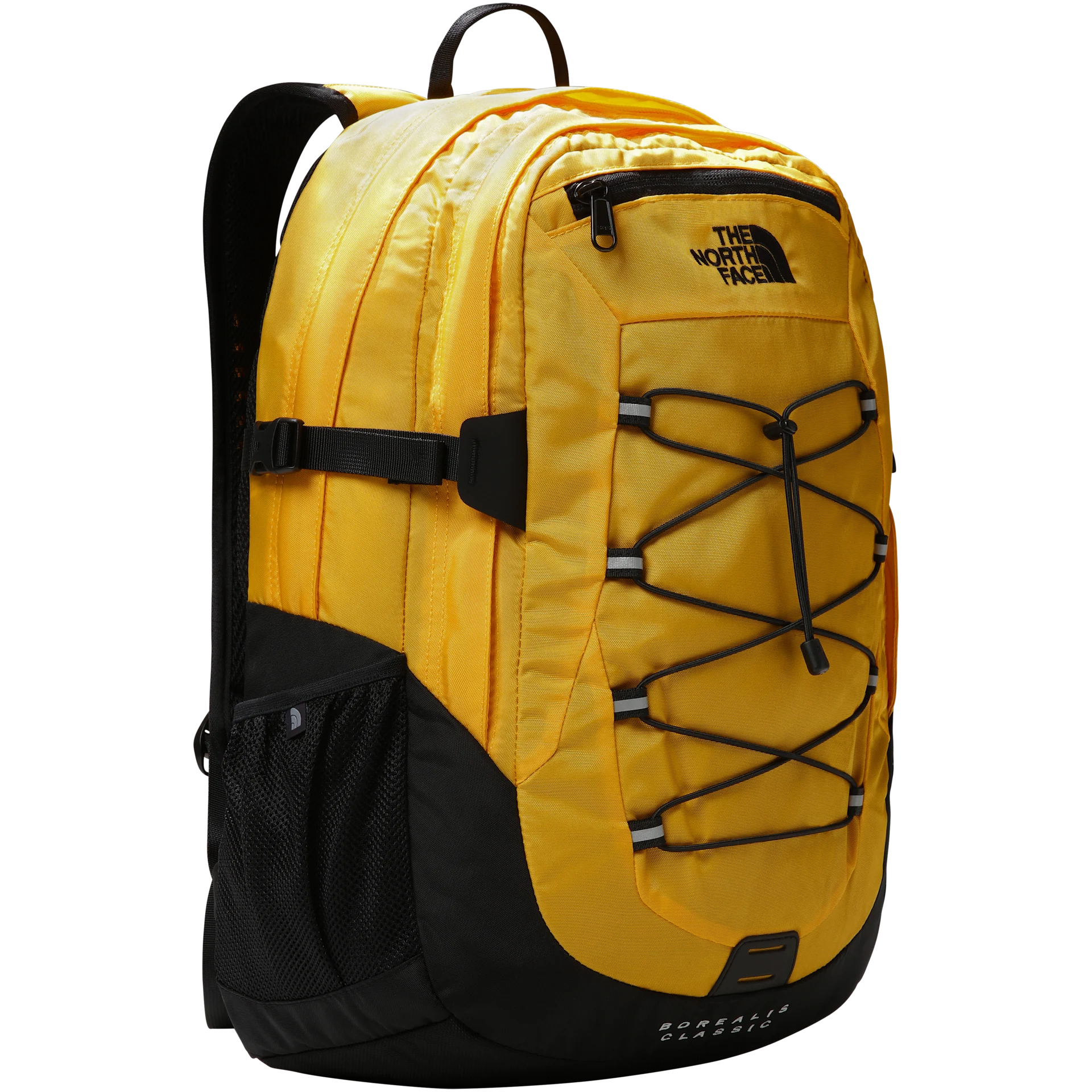 Borealis Classic Backpack