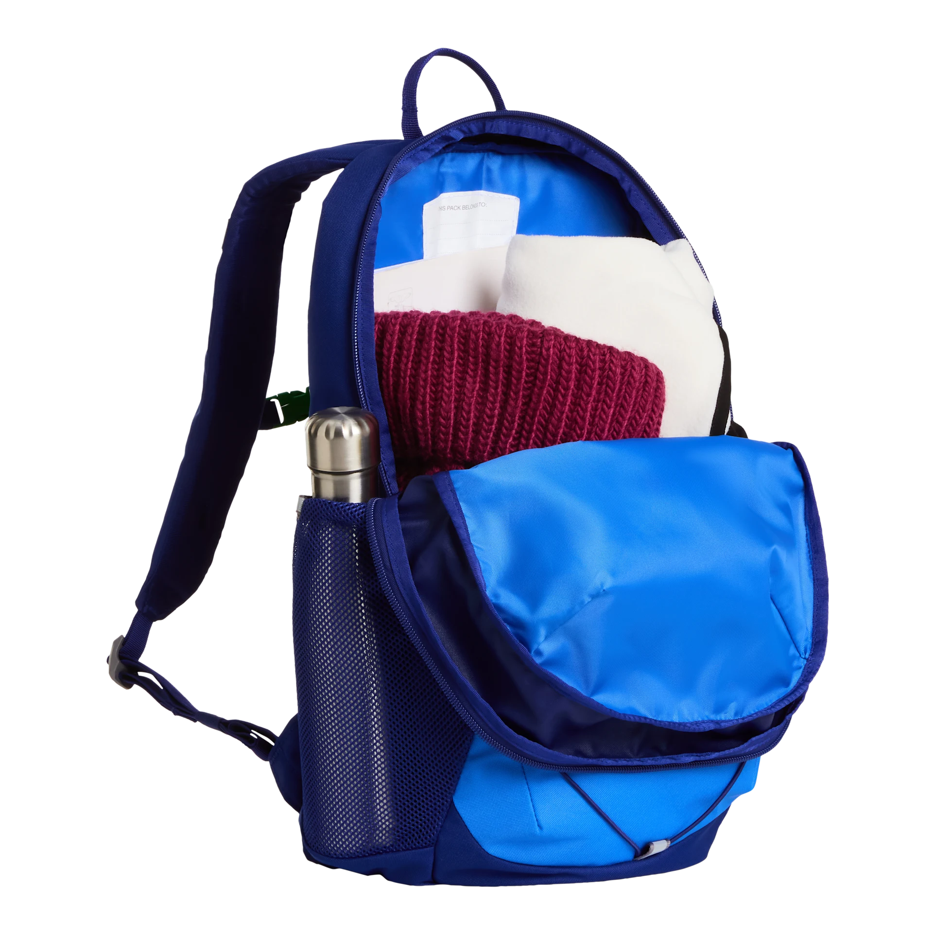 Youth Court Jester Backpack