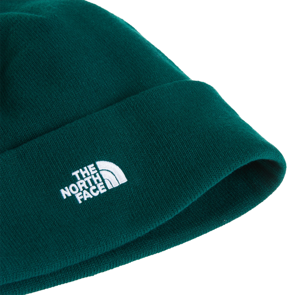 Norm Beanie