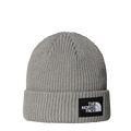 Salty Lined Beanie