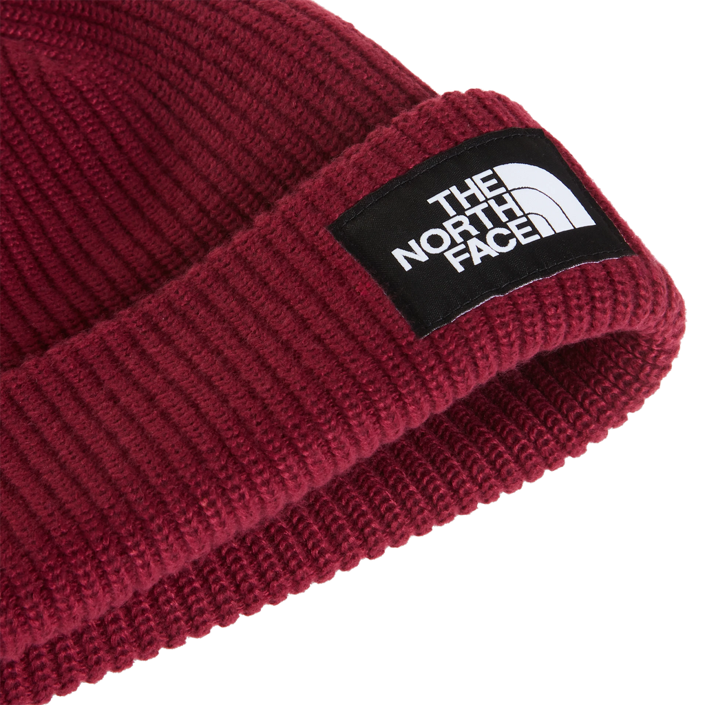 Salty Lined Beanie