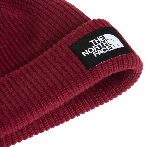 Salty Lined Beanie