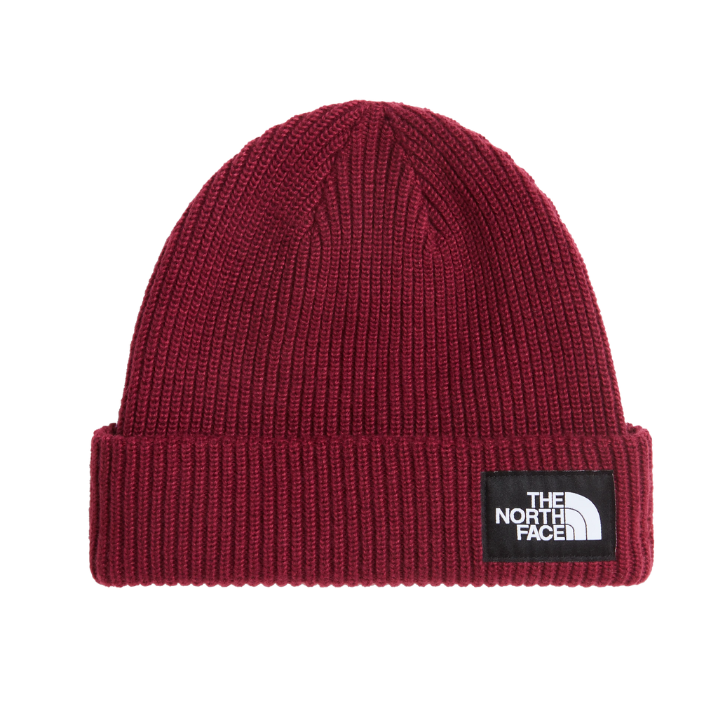 Salty Lined Beanie