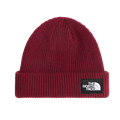 Salty Lined Beanie