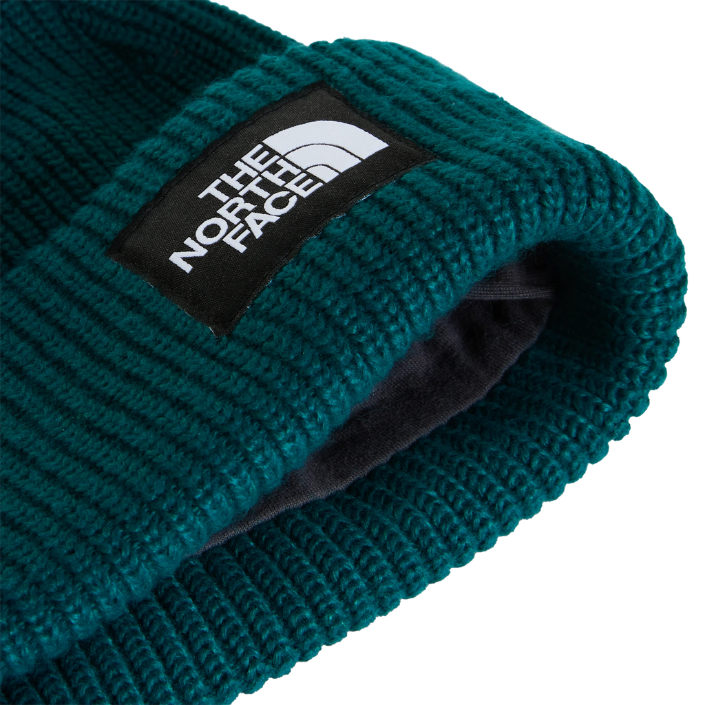 Salty Lined Beanie