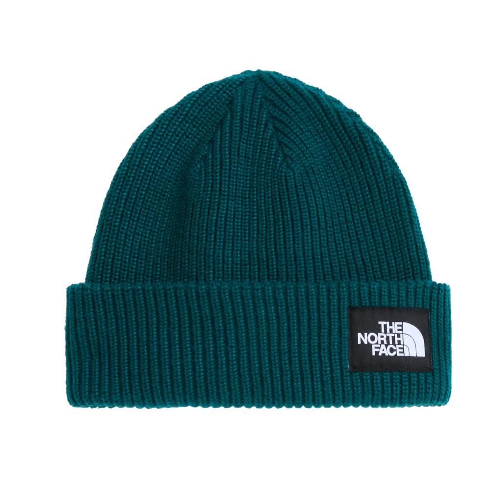 Salty Lined Beanie