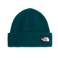 Salty Lined Beanie
