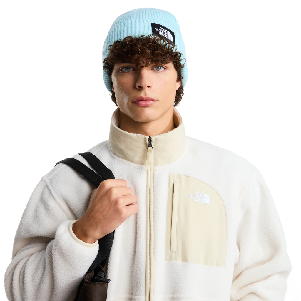 Salty Lined Beanie