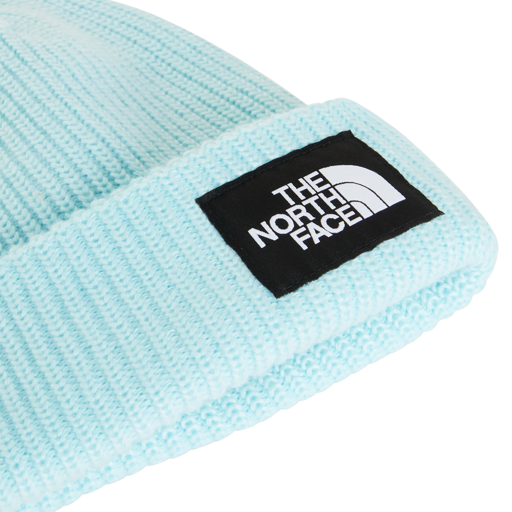 Salty Lined Beanie
