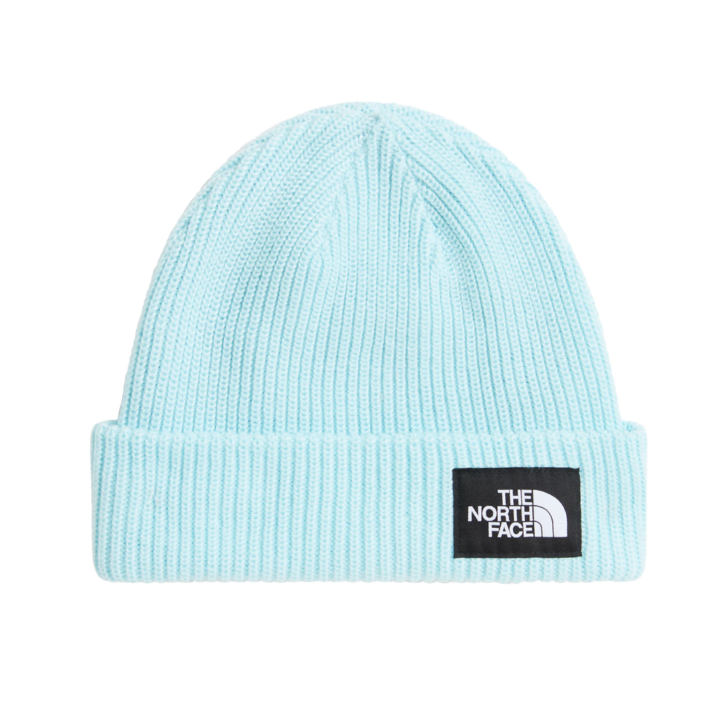 Salty Lined Beanie