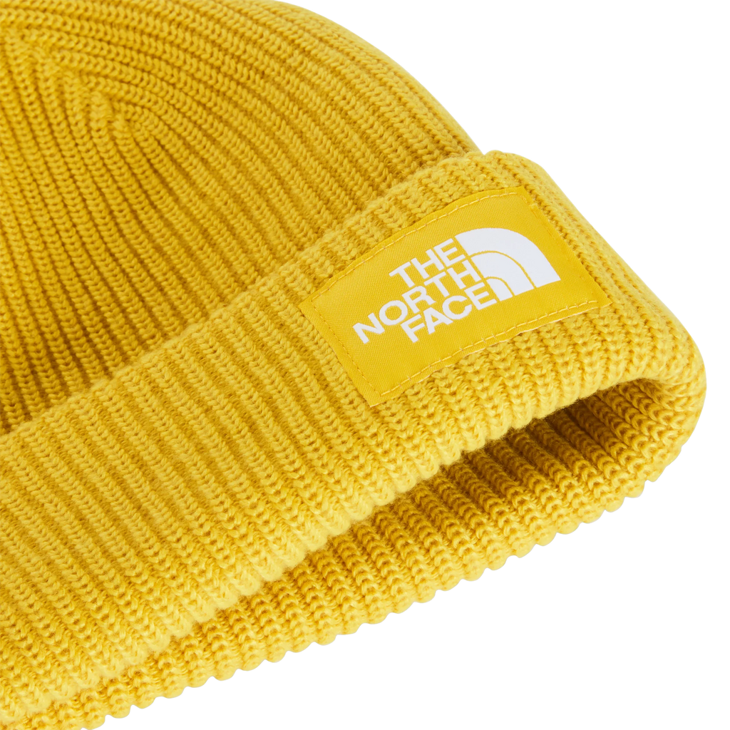 Salty Lined Beanie