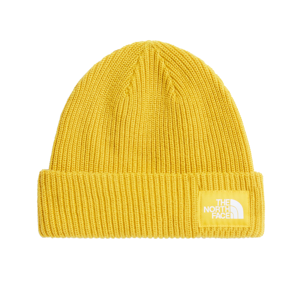 Salty Lined Beanie