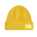 Salty Lined Beanie