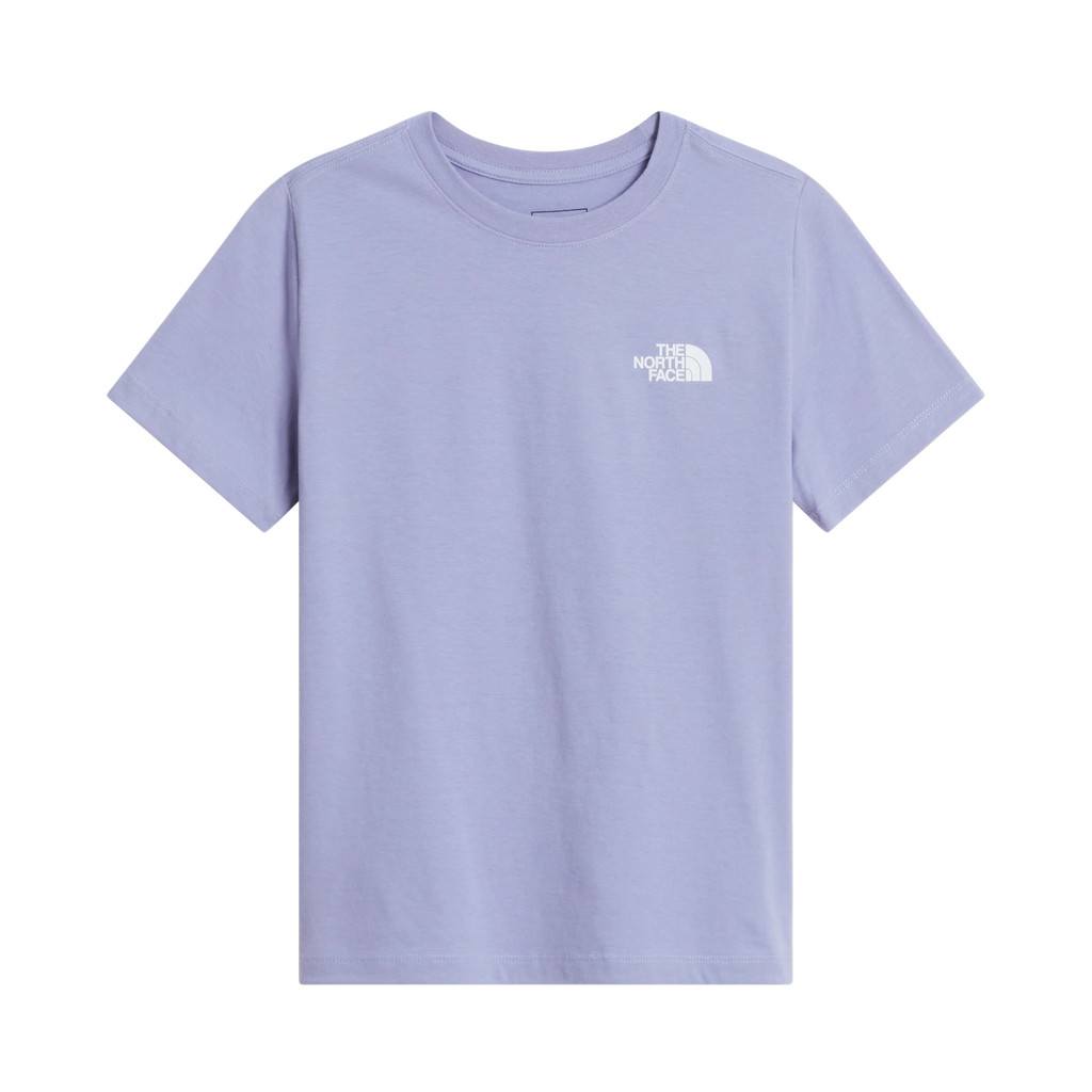 Teen Evolution Box Nse SS Tee