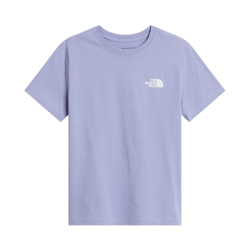 Teen Evolution Box Nse SS Tee