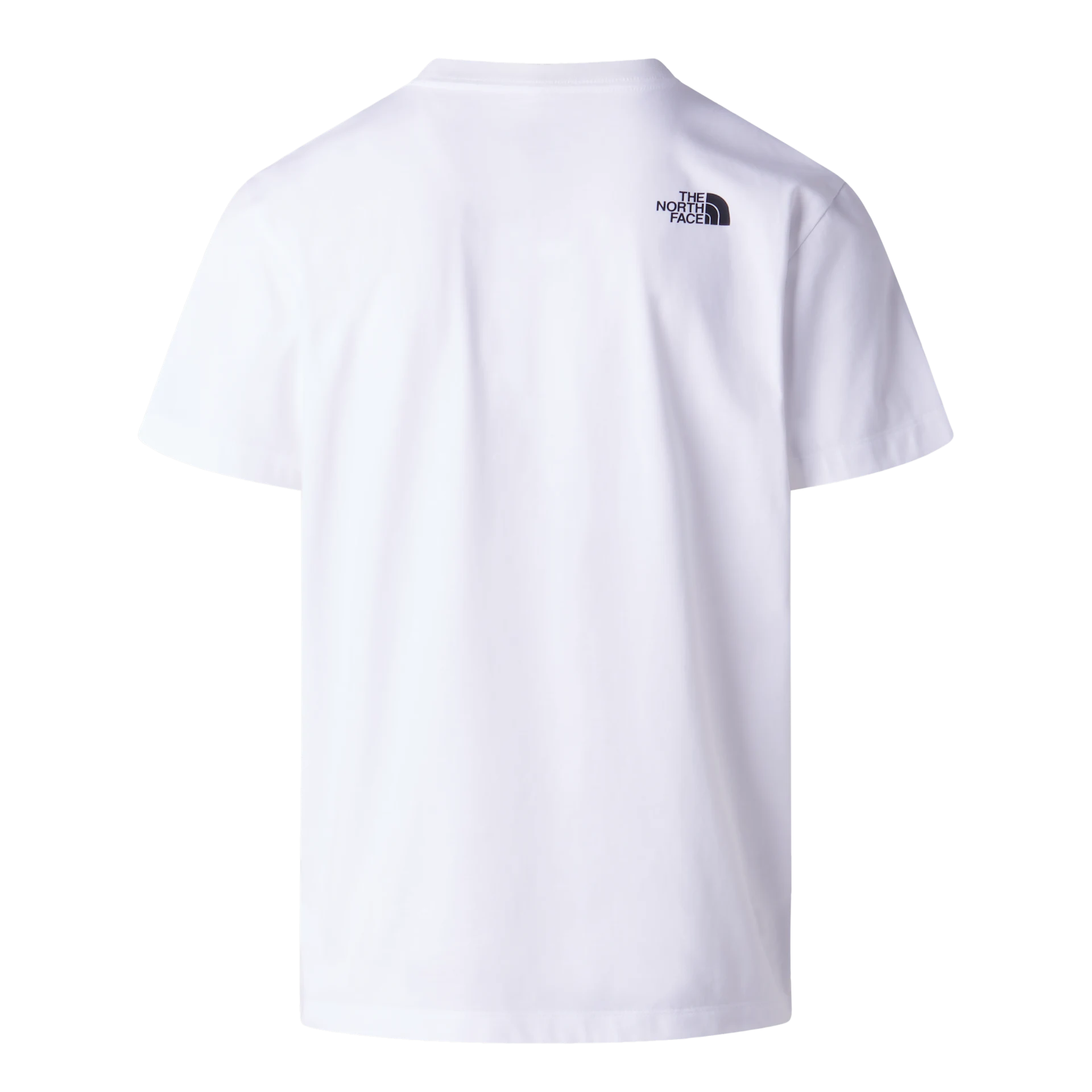 Evolution Box Half Dome Regular Tee