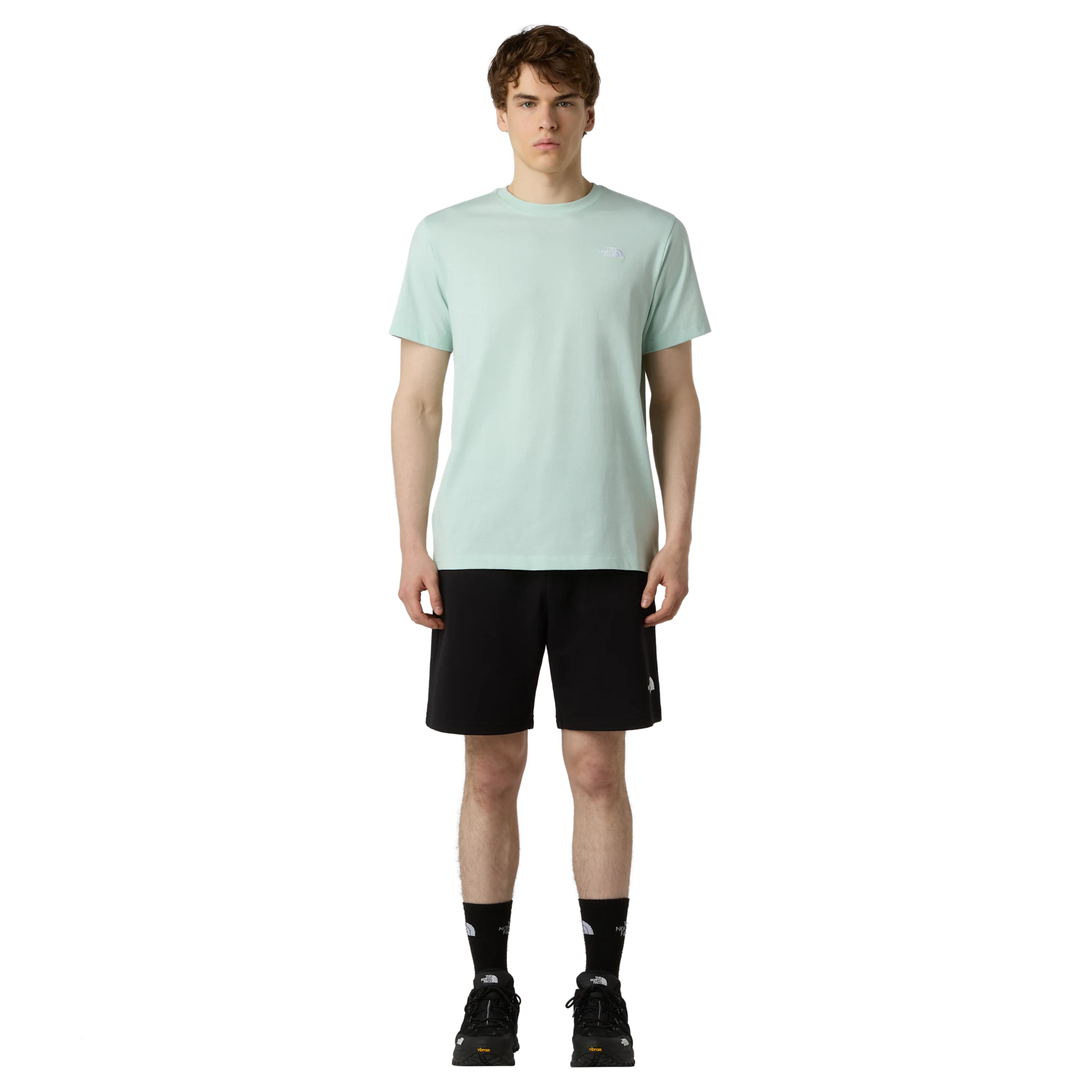 Simple Dome Light Regular Shorts