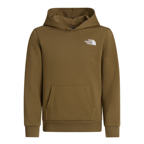 THE NORTH FACE Simple Dome Light Regular Hoodie Teen - Cedar