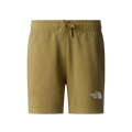 THE NORTH FACE Simple Dome Light Regular Short Teen - Cedar