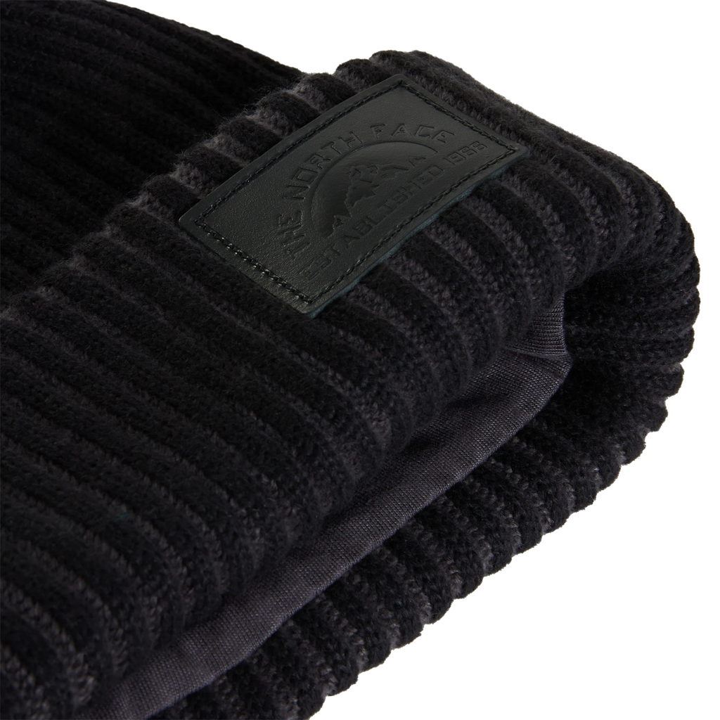 Salty Lined SE Beanie