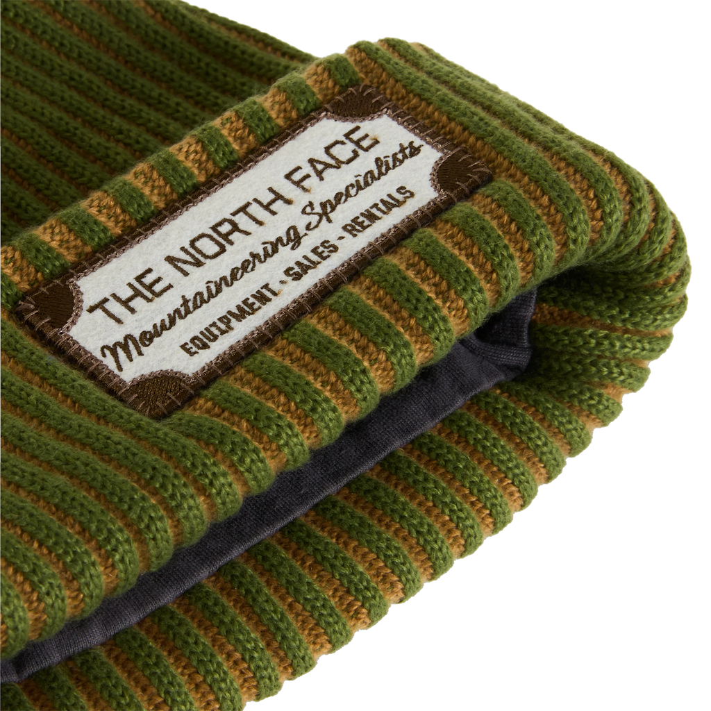 Salty Lined SE Beanie