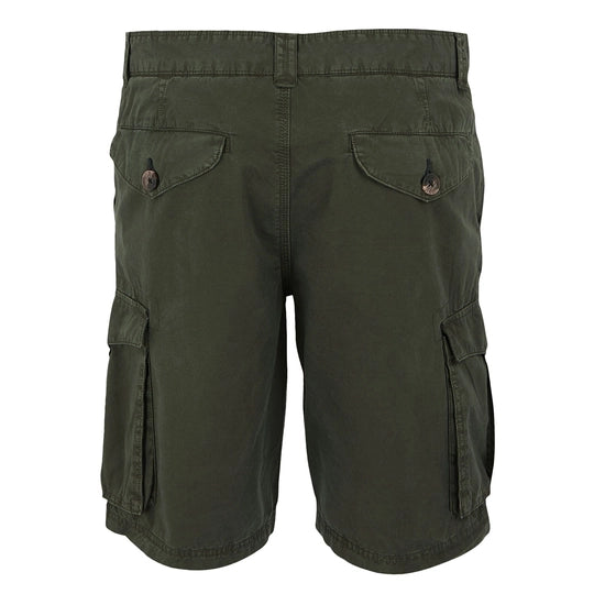Shorebay Shorts 2
