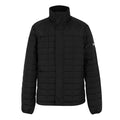 Haire Padded Jacket