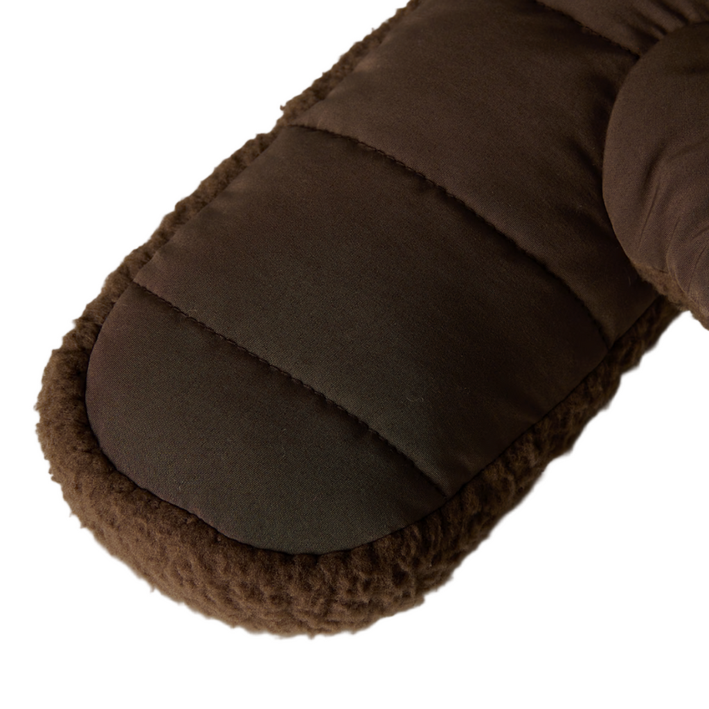 Cragmont Fleece Mitt