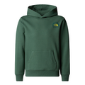 THE NORTH FACE Graphic Relaxed Hoodie Boy - Duck Green 1