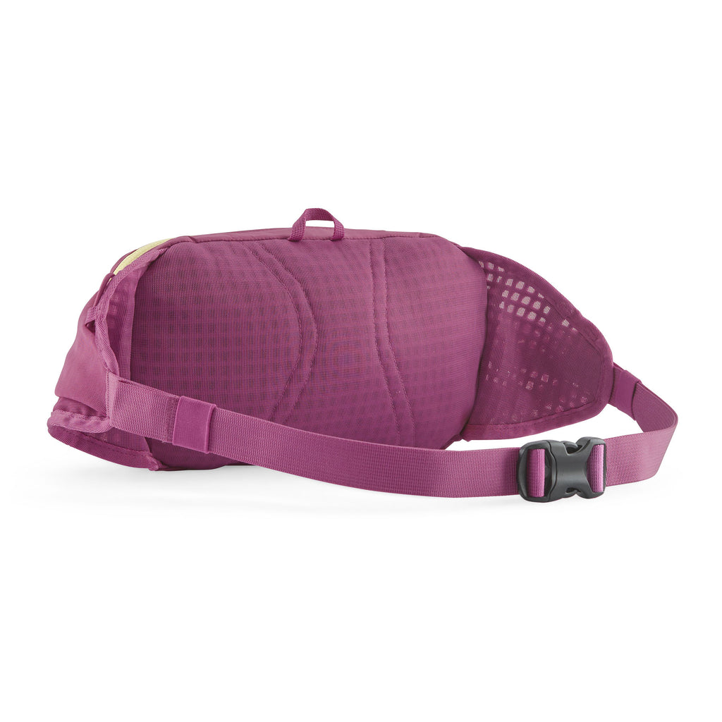 Terravia Hip Pack
