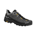 Alp Trainer 2 GTX