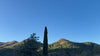 MW Homepage - Foreste casentinesi