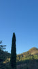 MW homepage mobile - Foreste Casentinesi